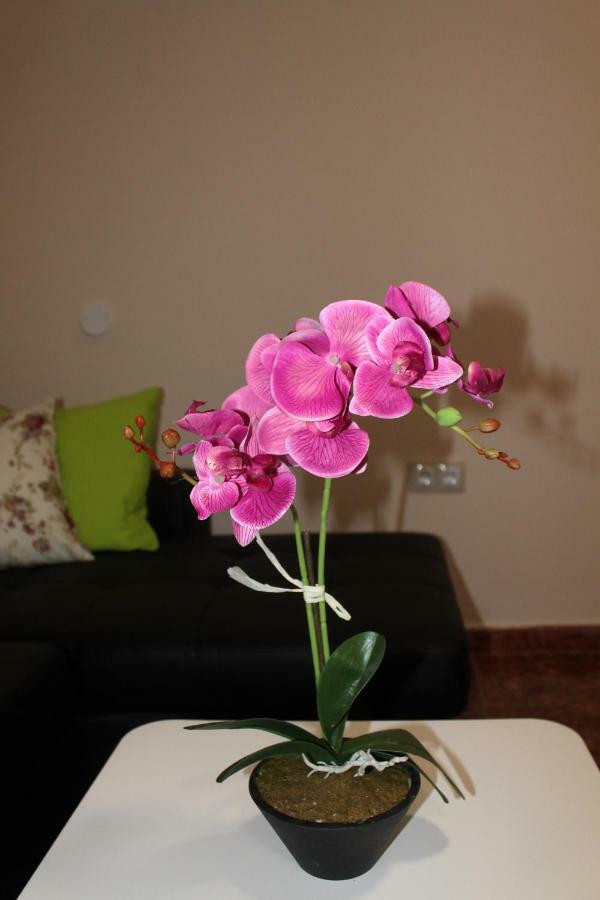 Beautiful Apartment Hercules 코스타델실렌시오 외부 사진